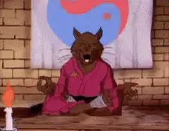 Rat meditating with yin yang