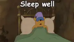 Winnie the Pooh sleep well