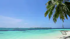 Tropical beach with palm tree swing