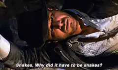 Indiana Jones snakes why did it have to be snakes