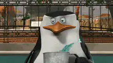 Skipper drinks from a mug