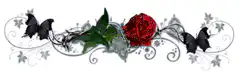 Red rose with black butterflies and ivy