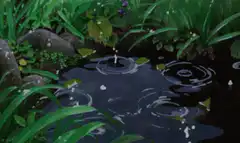Raindrops falling into a pond