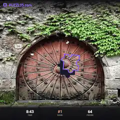 Puzzle game door with ivy