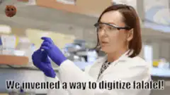 Scientist digitizes falafel