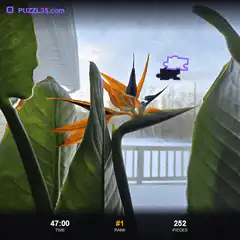 Puzzle game with bird of paradise flower