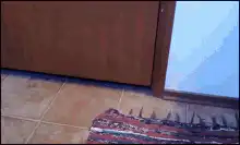Cat paw grabs rug