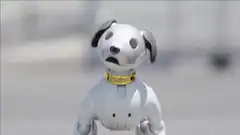 Robotic dog with changing expressions