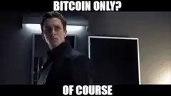 Batman and Robin Bitcoin Only