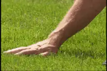 Man kneeling on grass