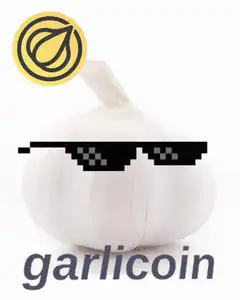 Garliccoin with sunglasses and rocket