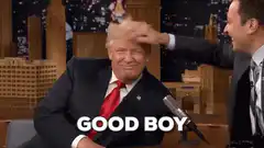 Donald Trump Good Boy