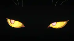 Glowing yellow cat eyes in the dark
