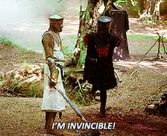 I'm Invincible! Sword Fight