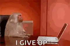 Monkey throws laptop I give up