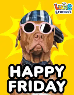 Dog with sunglasses and hat says Happy Friday