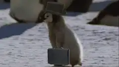 Penguin with hat and briefcase
