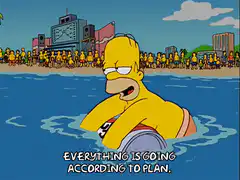 Homer Simpson Everything Is Going According To Plan