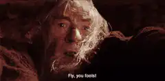Gandalf falls into the abyss
