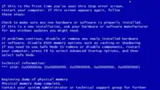 Cat staring at blue screen of death