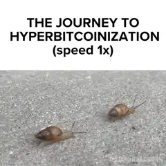 Snails journey to hyperbitcoinization