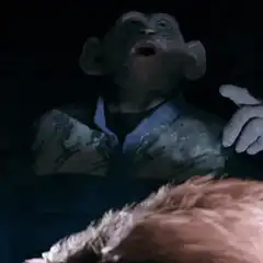 Monkey looking up in shock