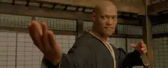 Laurence Fishburne as Morpheus in The Matrix