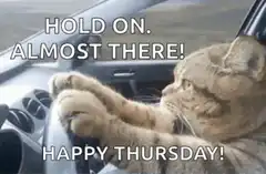 Cat driving car happy thursday