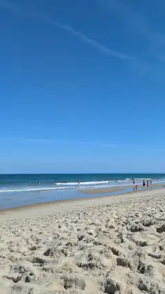 sunny beach with people walking