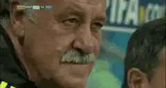 Vicente del Bosque disappointed face