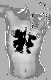 Female torso silhouette morphing
