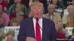 Donald Trump speaking at a rally