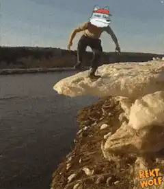 Doge falls off cliff