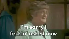 Mrs. Doubtfire Sorry I Feckin Asked