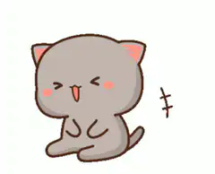 cute gray cat falls over