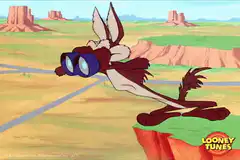 Wile E. Coyote with Binoculars