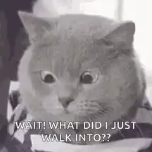 Confused Cat Wait What Did I Just Walk Into