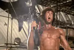 Rocky Balboa screaming with a fish