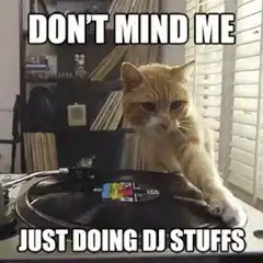 Cat DJ doing DJ stuffs