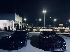 two black mustangs parked at night