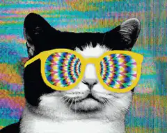 Hypnotic Cat with Psychedelic Glasses