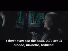 Agent Smith sees blonde brunette redhead