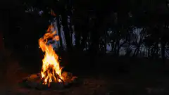 Campfire burning in the woods at night
