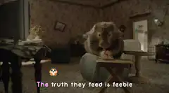 Hamster eating with lyrics
