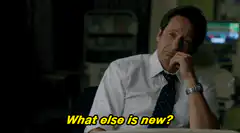 Fox Mulder What else is new