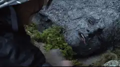 Hand touching mossy rock face