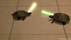 turtles with lightsabers