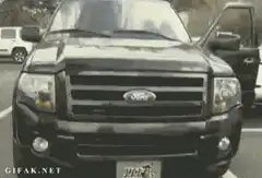 Owl hiding in Ford truck grille