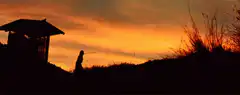 Silhouette figure dancing at sunset