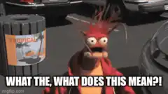 Confused Muppet What The What Does This Mean